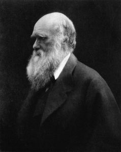 Charles Darwin, photographed by Julia Margaret Cameron. 1868